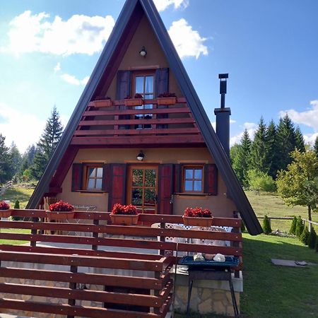 Vila Mountain House Tadic 1 Bajina Basta Exteriér fotografie