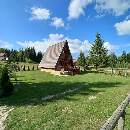Vila Mountain House Tadic 1 Bajina Basta Exteriér fotografie