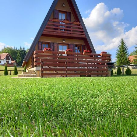Vila Mountain House Tadic 1 Bajina Basta Exteriér fotografie