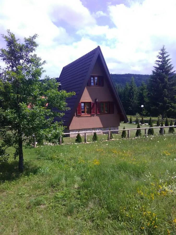 Vila Mountain House Tadic 1 Bajina Basta Exteriér fotografie