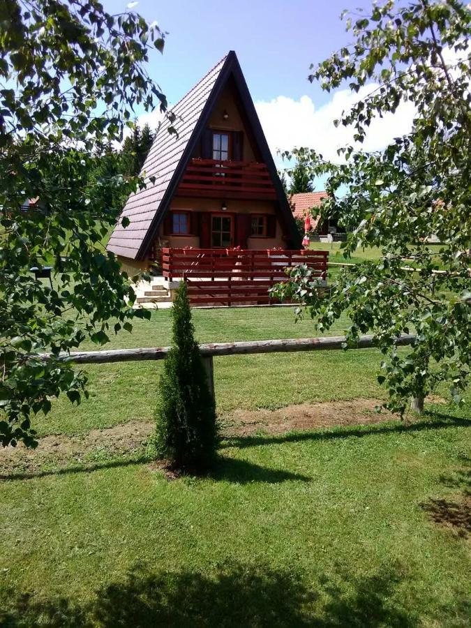 Vila Mountain House Tadic 1 Bajina Basta Exteriér fotografie
