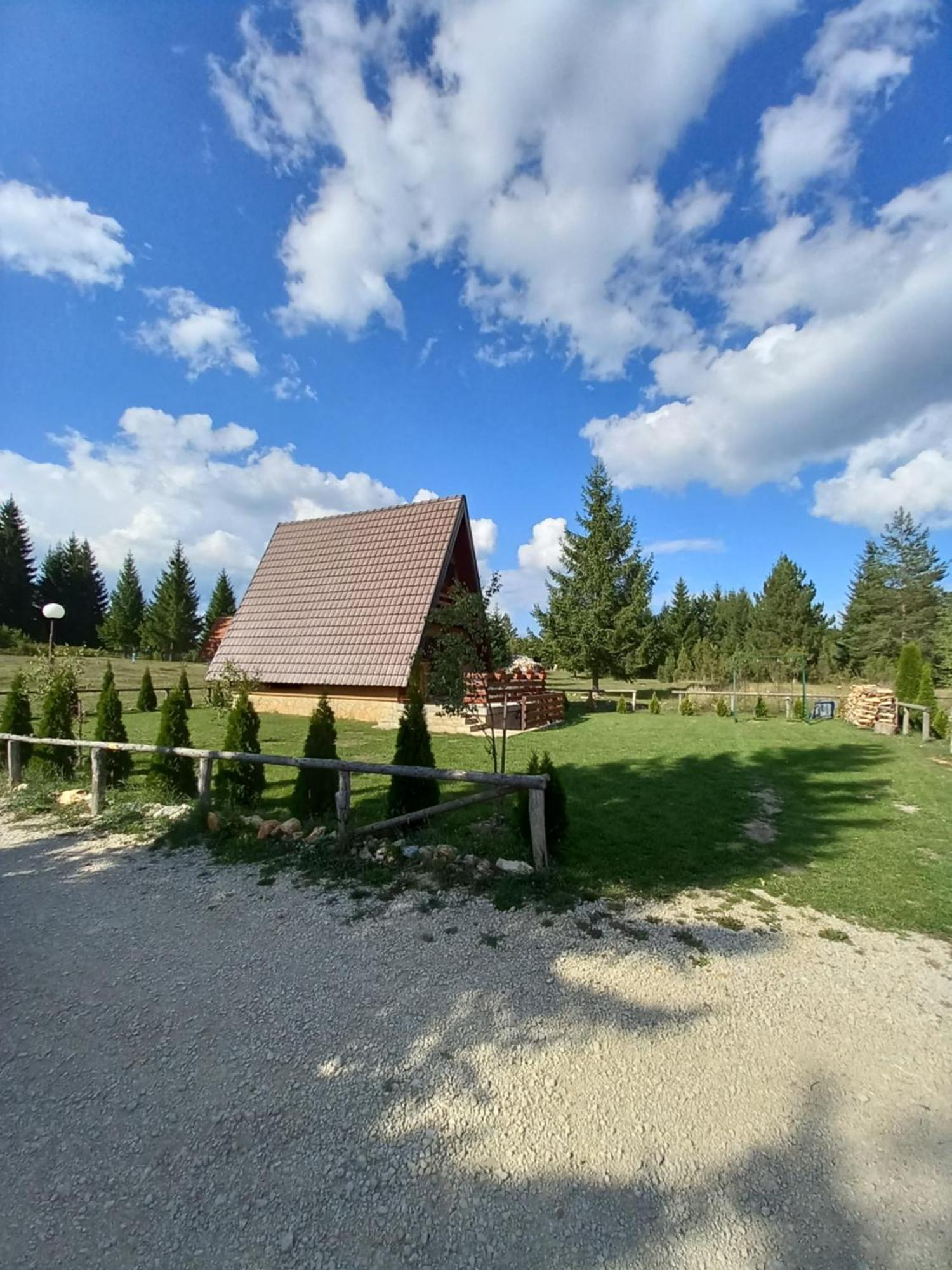 Vila Mountain House Tadic 1 Bajina Basta Exteriér fotografie