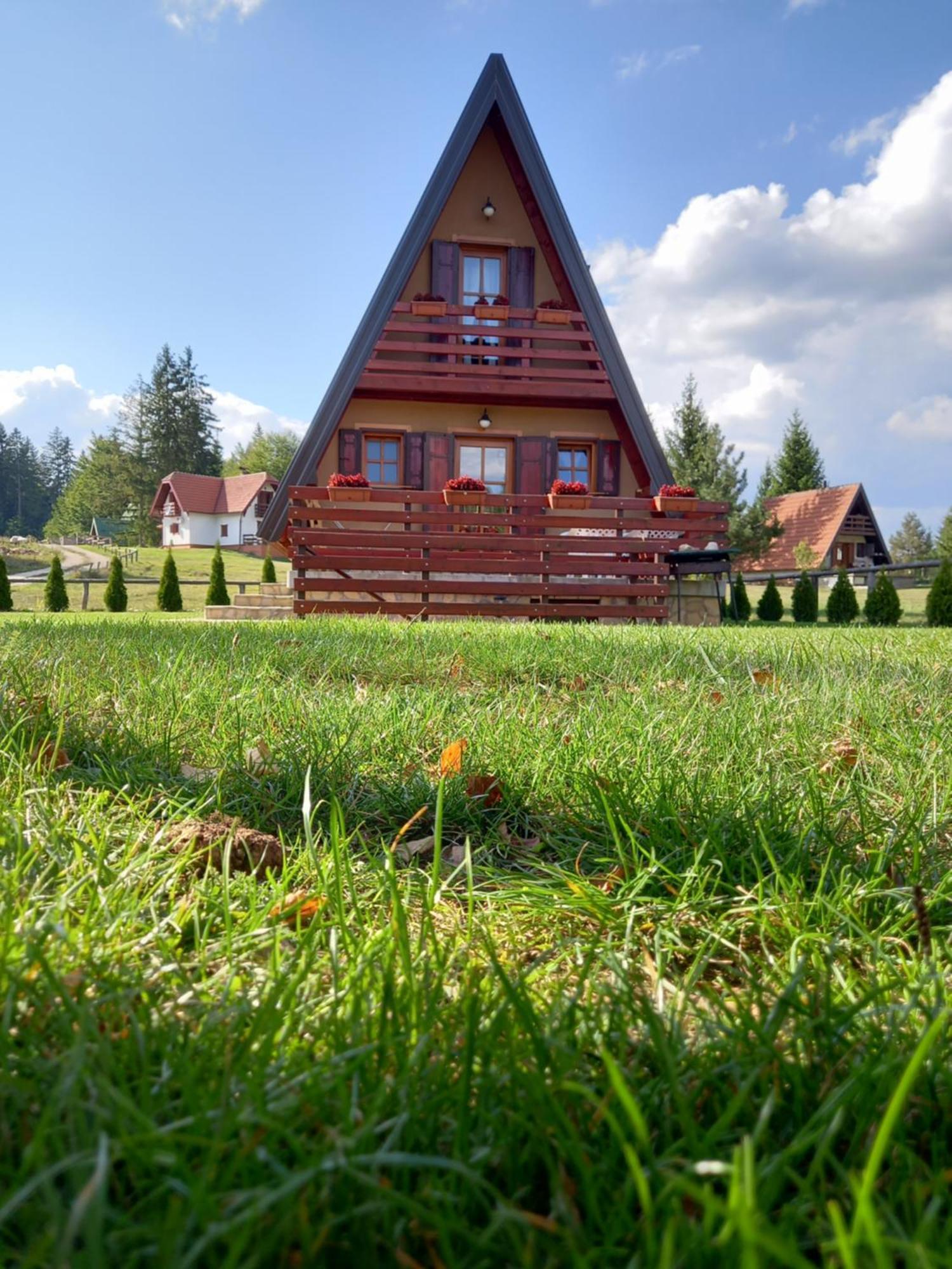 Vila Mountain House Tadic 1 Bajina Basta Exteriér fotografie