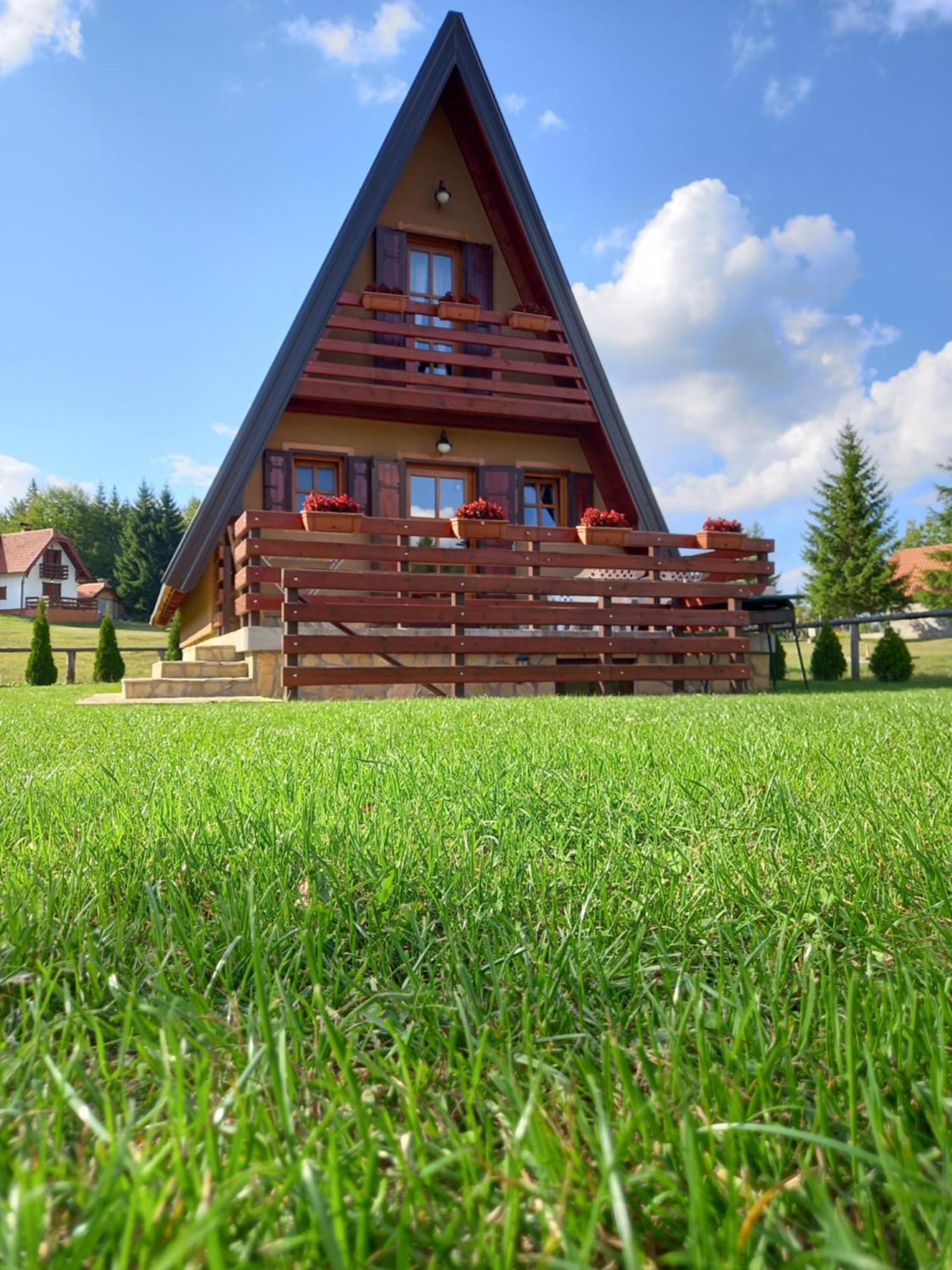 Vila Mountain House Tadic 1 Bajina Basta Exteriér fotografie