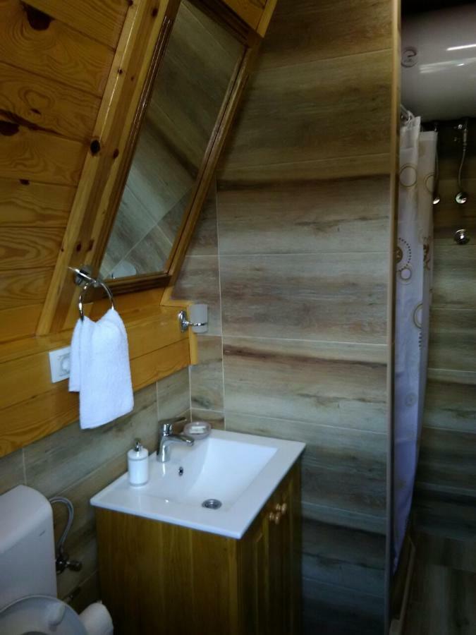 Vila Mountain House Tadic 1 Bajina Basta Exteriér fotografie