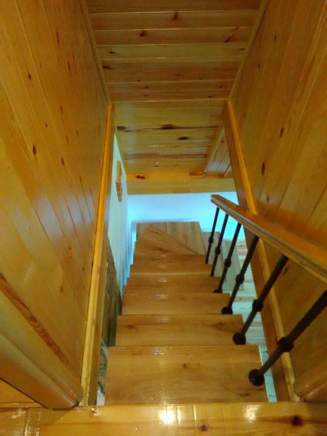 Vila Mountain House Tadic 1 Bajina Basta Exteriér fotografie