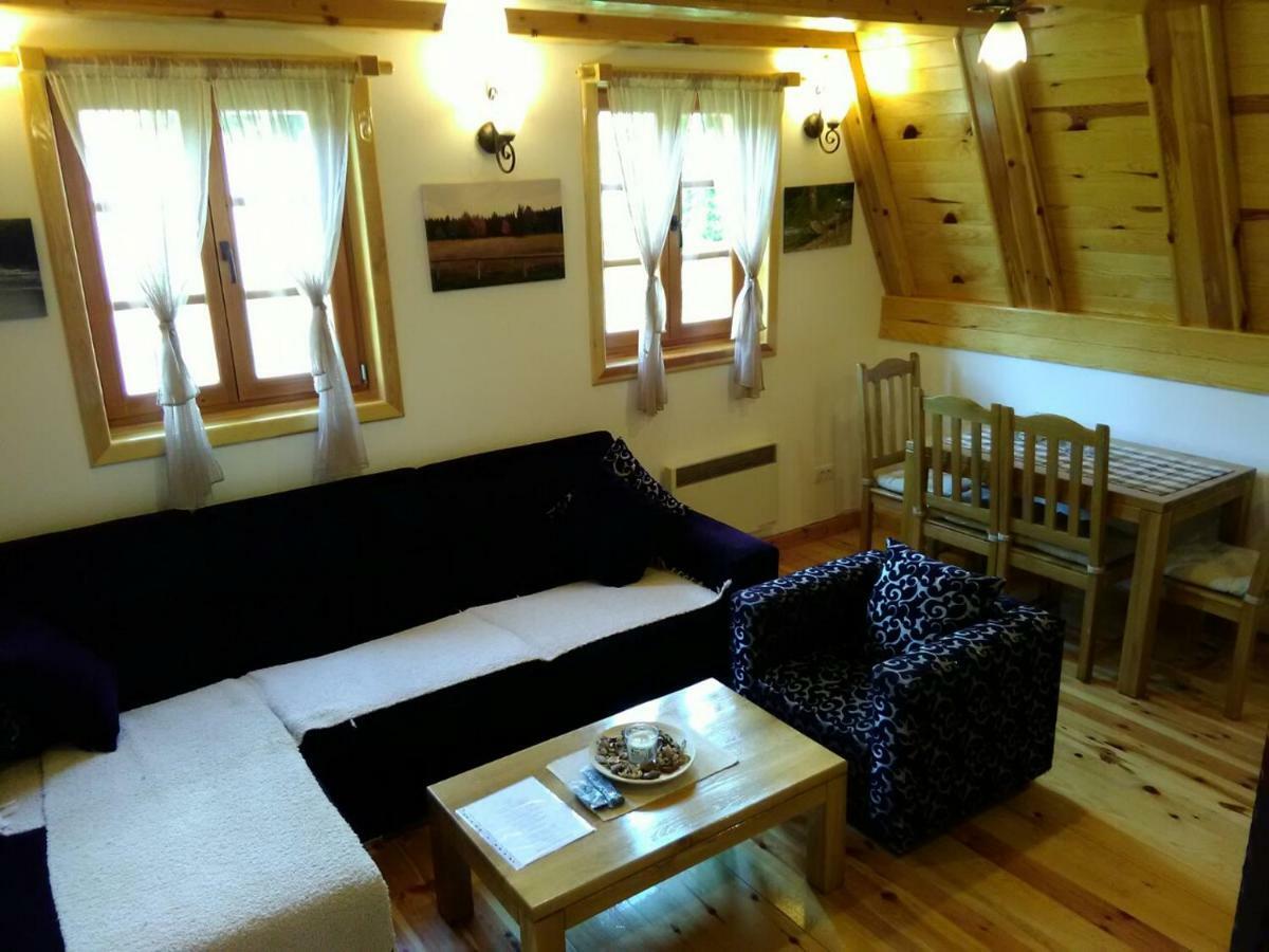 Vila Mountain House Tadic 1 Bajina Basta Exteriér fotografie