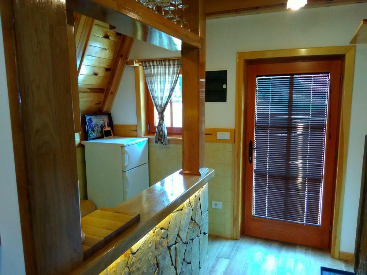 Vila Mountain House Tadic 1 Bajina Basta Exteriér fotografie