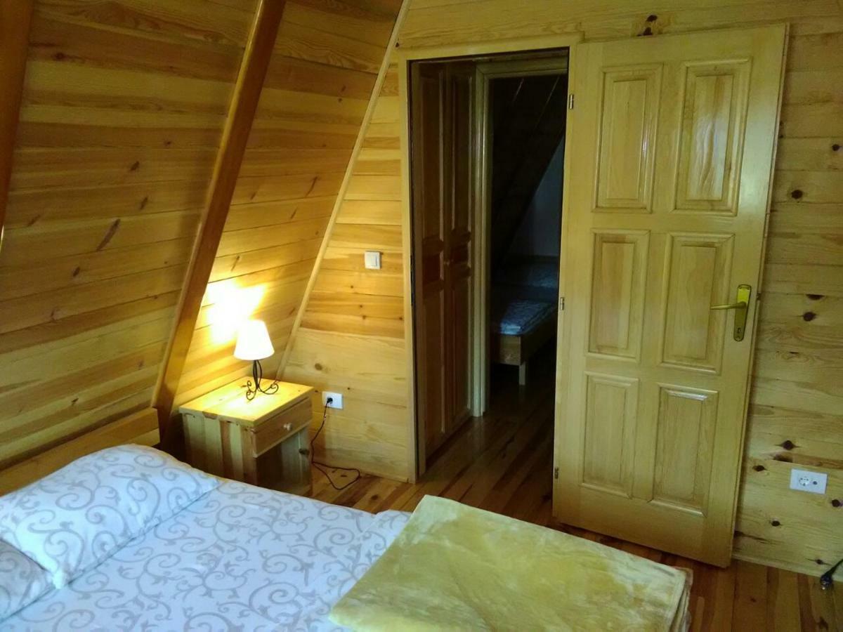 Vila Mountain House Tadic 1 Bajina Basta Exteriér fotografie