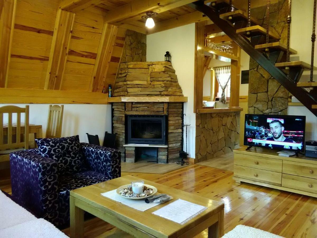 Vila Mountain House Tadic 1 Bajina Basta Exteriér fotografie