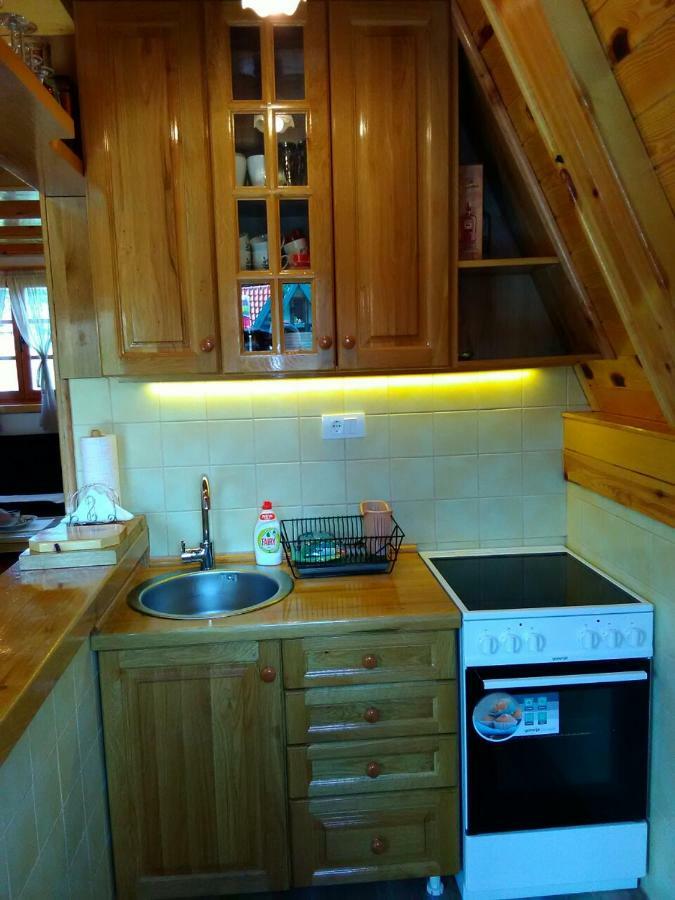 Vila Mountain House Tadic 1 Bajina Basta Exteriér fotografie
