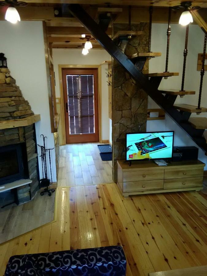 Vila Mountain House Tadic 1 Bajina Basta Exteriér fotografie