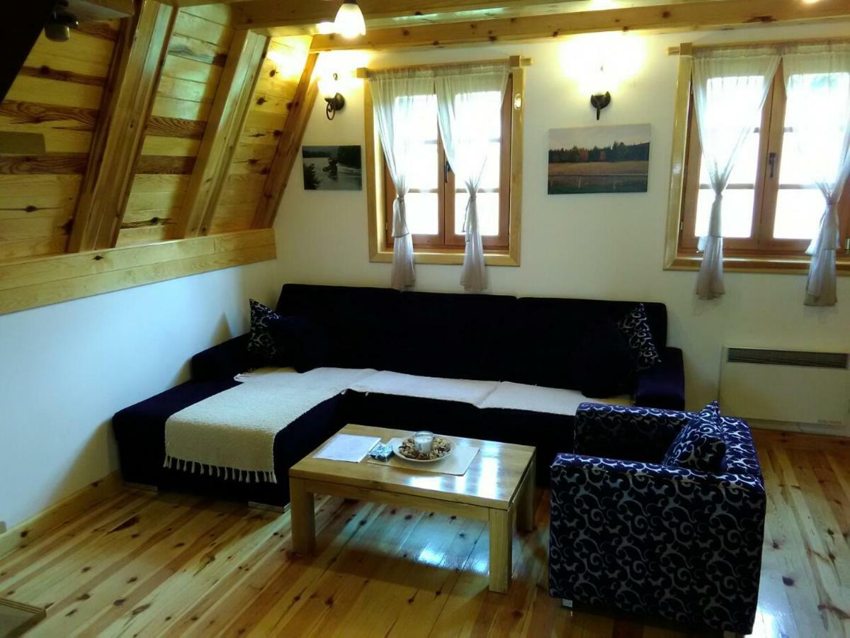 Vila Mountain House Tadic 1 Bajina Basta Exteriér fotografie