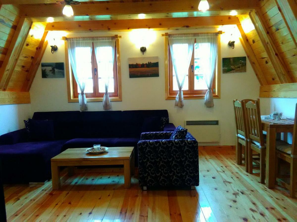 Vila Mountain House Tadic 1 Bajina Basta Exteriér fotografie
