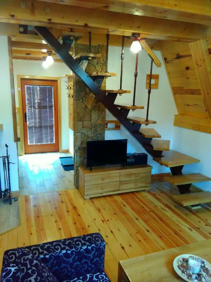 Vila Mountain House Tadic 1 Bajina Basta Exteriér fotografie