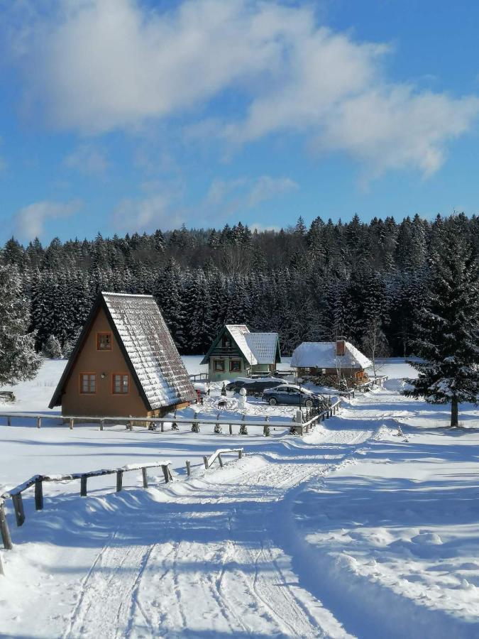 Vila Mountain House Tadic 1 Bajina Basta Exteriér fotografie