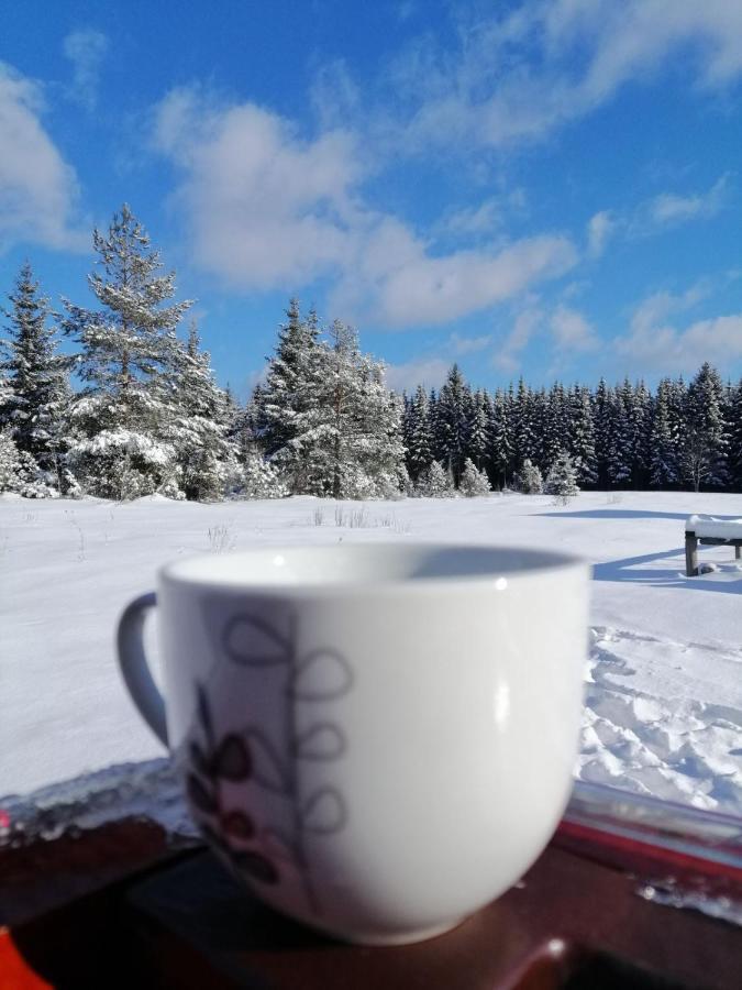 Vila Mountain House Tadic 1 Bajina Basta Exteriér fotografie